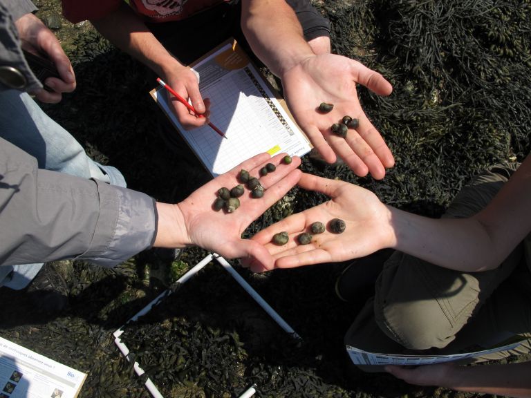 open science - sciences participatives