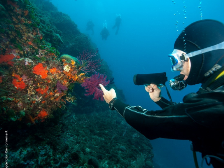 plongeur observant le coralligène en méditerranée