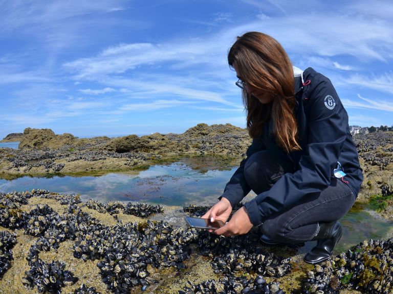 observer le littoral avec BioLit