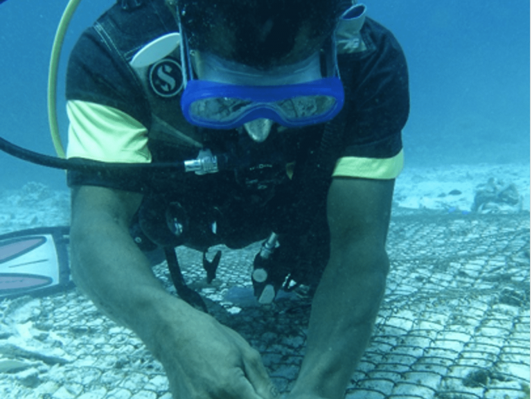 restauration corallienne raja ampat