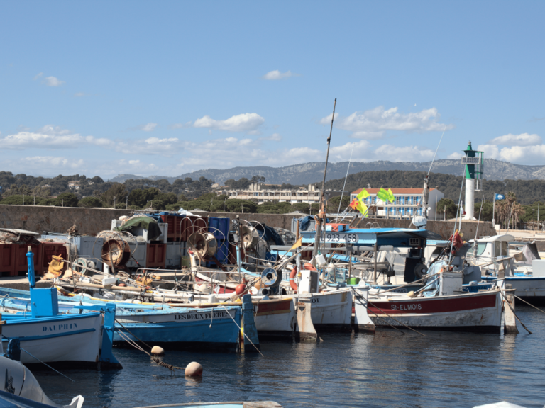 chiffres clés de la pêche en mer en France