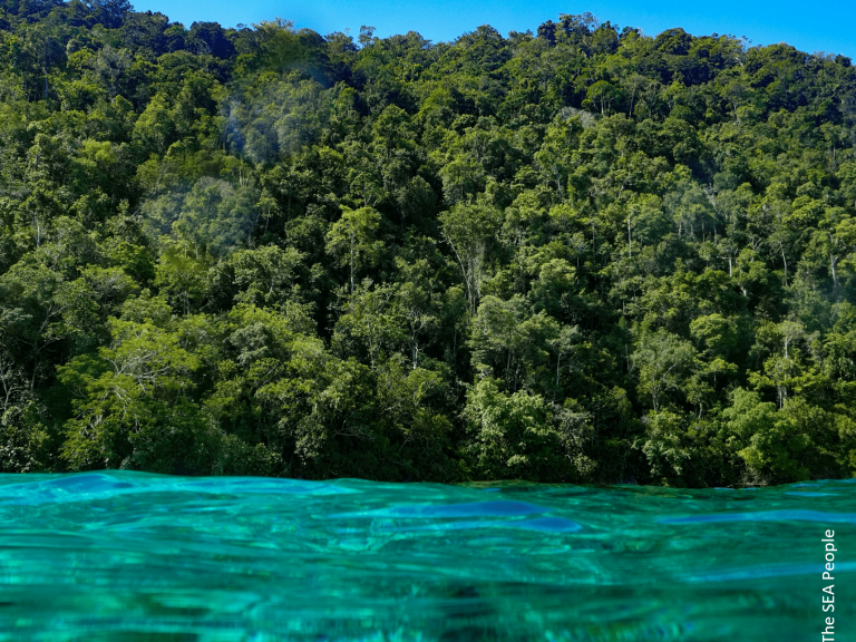 eau turquoise des raja ampat