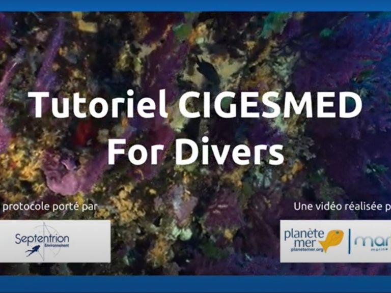 tutoriel cigesmed pour les plongeurs