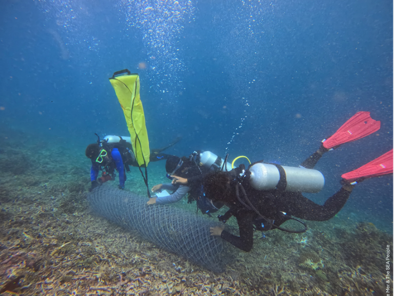stabilisation des récifs coralliens avant restauration