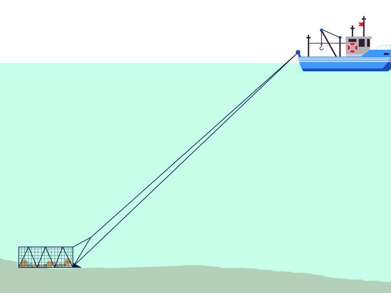 la pêche à la drague