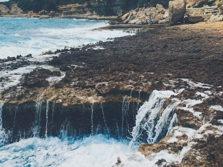 Le Parc Marin de la Côte Bleue