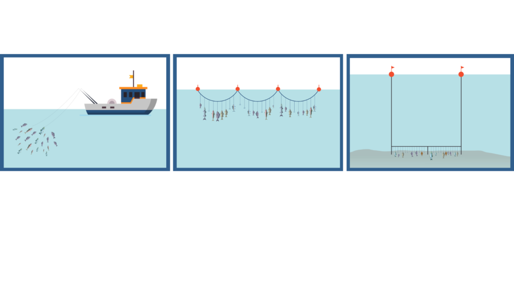 les lignes et hameçons