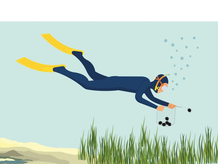 la pêche en plongée sous-marine