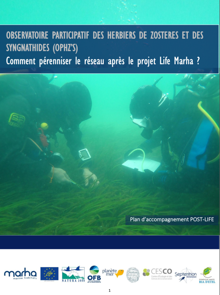 2025 - Plan d'accompagnement Post-Life. Observatoire Participatif des herbiers de zostères et de syngnathidés (OPHZ'S)