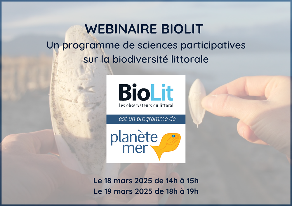 webinaire Saisons de la Mer BioLit