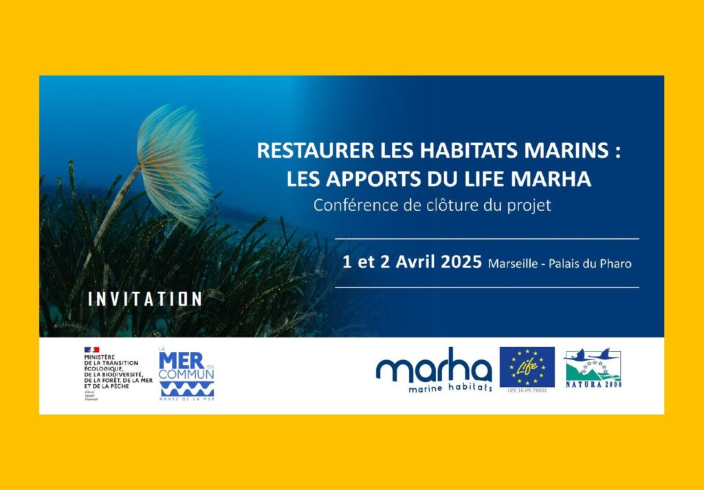 Clôture du Life Marha