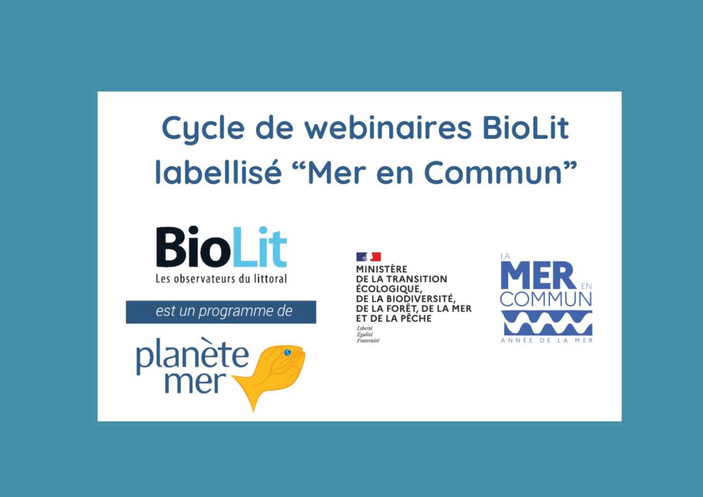La Mer en Commun : labellisation du cycle de webinaires BioLit