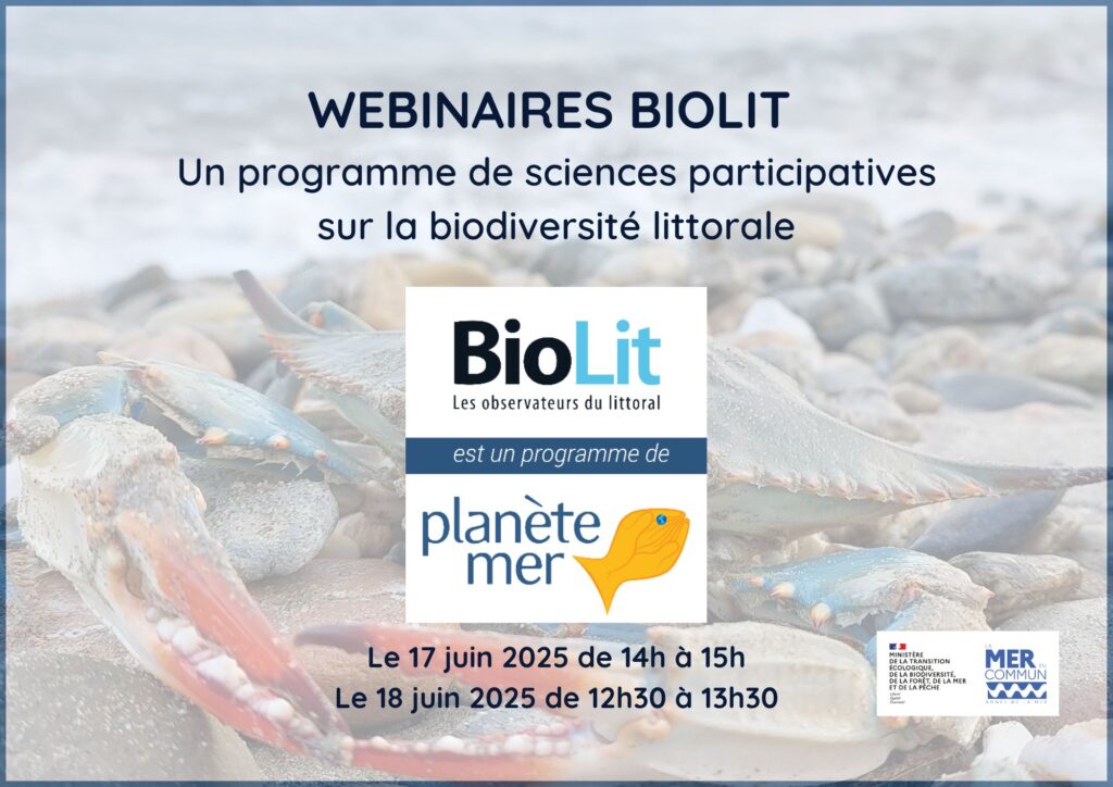 webinaires nouveaux arrivants