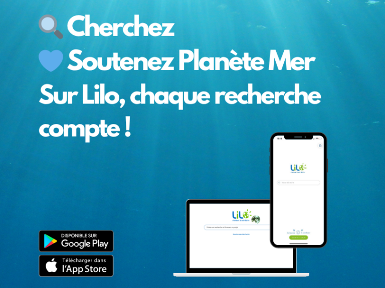 campagne lilo moteur de recherche