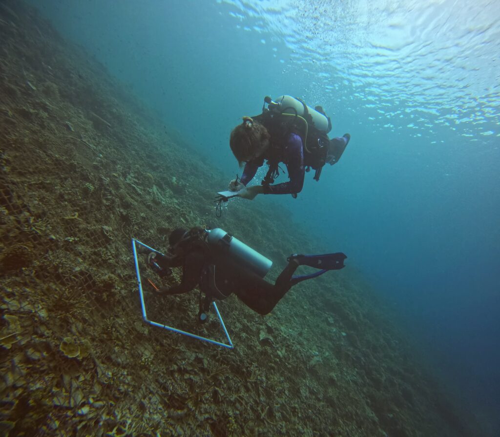 suivi scientifique du programme yaf keru