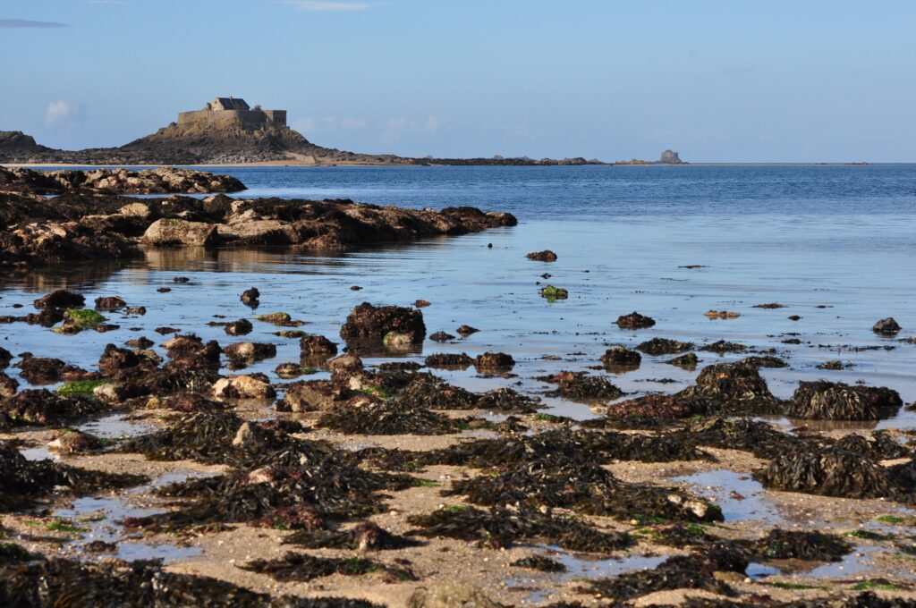 exploration à marée basse