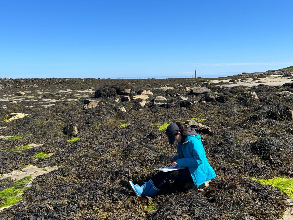sortie sur le littoral pour le projet ESPOIRS