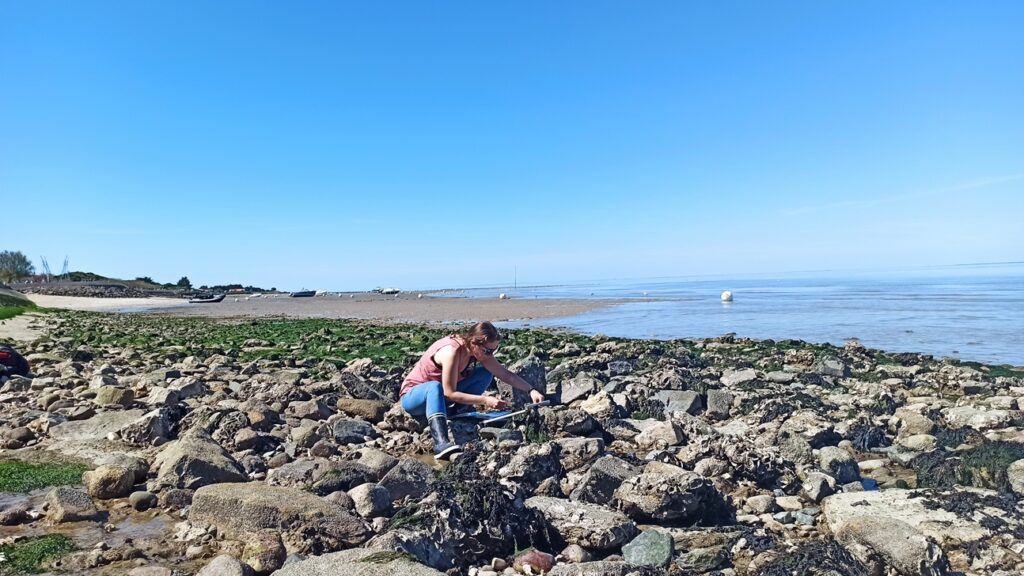 exploration du littoral dans les pertuis charentais