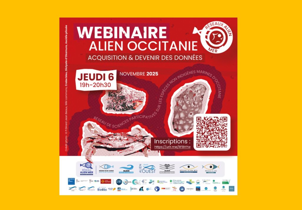 Conférence en ligne sur les espèces non-indigènes marines et les Sciences participatives