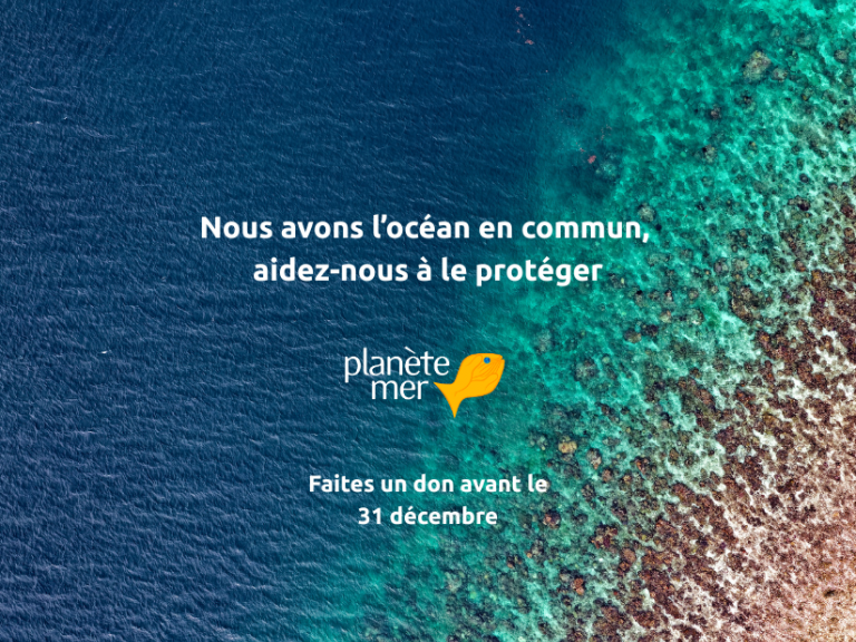campagne dons 2025 Planète Mer
