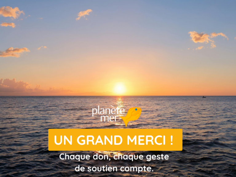 remerciements dons 2025 planete mer