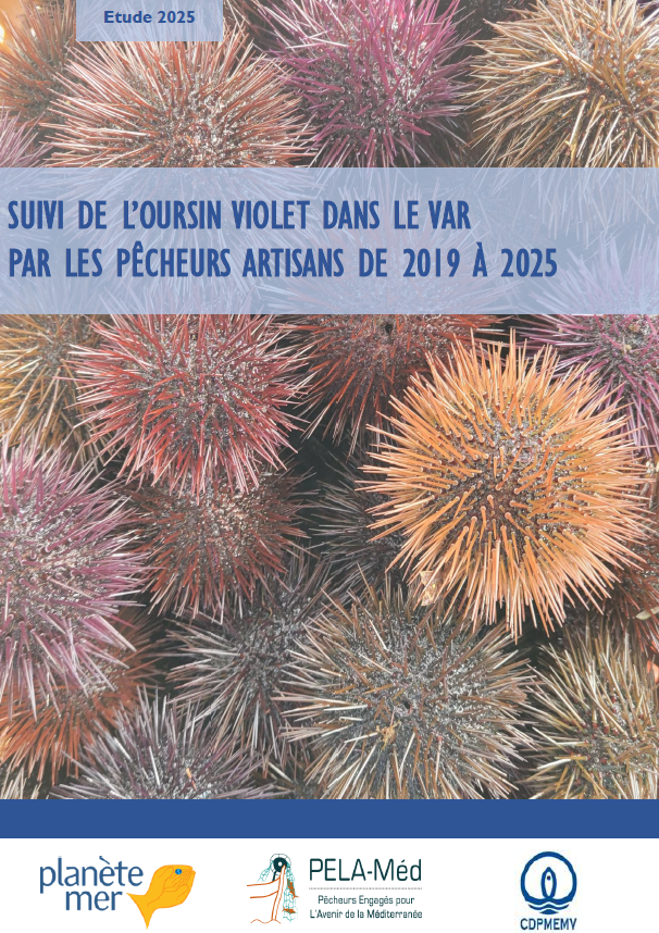 Couverture_etude_oursin_2019_2025