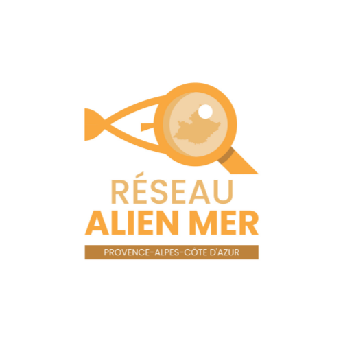 visuel_logo_ALIEN_MER_Sud