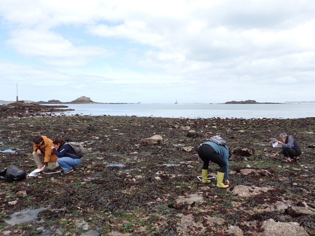 20260416_Formation_Dinard (c)A.Bouet (5_light)