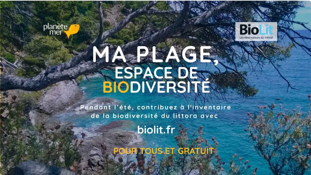 2026_Campagne Ma plage espace de biodiversité
