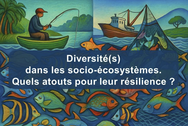 Affiche du colloque AFH