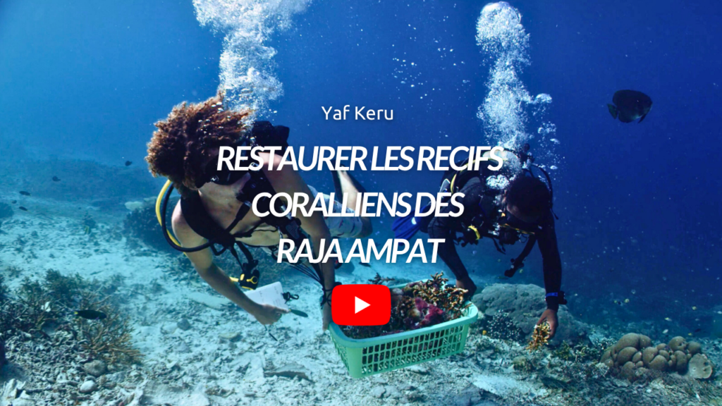 20261007_Yaf_keru_restauration (1)